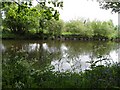 River Camowen, Omagh