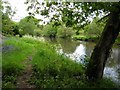 Camowen river bank, Omagh