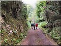 Ramblers at Oldells