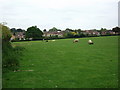 View from Oaks farm to the rear of properties in John O