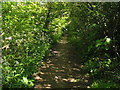 Footpath between Waghorns Lane and the A272