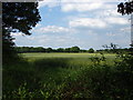 Fields near the Hogs Back