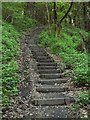 SN5503 : The Ramblers' Steps in Troserch Woods by Nigel Davies