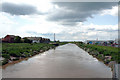 Goole:  The Dutch River