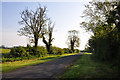 The Heckington Road - Burton Pedwardine