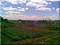 Weston Favell allotments