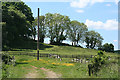 Yealmpton: above Hall Torrs