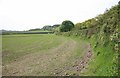 Rural view of sown fields nr Langore