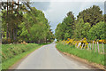 Road from Nairnside to Westhill