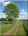 Track towards the edge of town