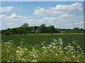 View towards Whisker Hill