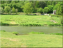 SE7365 : River Derwent, Kirkham by JThomas