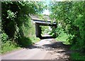 Old railway bridge