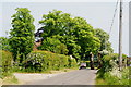 Along the Lane, Greatham, Sussex