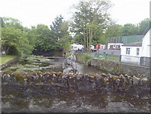 R4765 : Owenograney River, Sixmilebridge, Co Clare by C O'Flanagan
