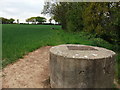 Unusual raised manholes