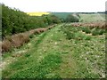 Field boundary, near Fulletby