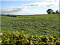 Field near Concord Farm