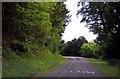 The road through Wendover Woods