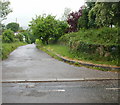 Entrance drive to The Hollies, Pentrepoeth Road