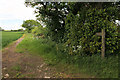 Footpath leading to Lodge farm