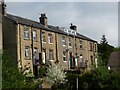 Houses on Marsden Lane