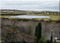 Semi-permanent pond on the north bank of the Usk, Caerleon