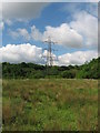 Pylon in Hailey Park, Radyr