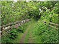 Dunglass Old Bridge