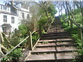 TQ4577 : Looking up the steps at The Slade, Plumstead Common by Marathon