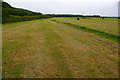 Silage all wrapped up