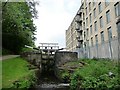 Mill and canal, Paddock