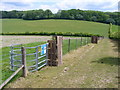 SU7842 : Footpath to Catham Copse by Colin Smith