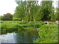 River Wey at Isington