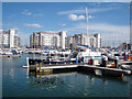 Tour Boat Sovereign Harbour Marina