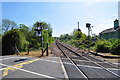 The East Suffolk Line at Brampton