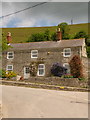 Bincombe: cottage below Bincombe Hill