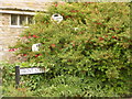 Portesham: almost hidden signpost