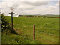 SY6482 : Buckland Ripers: signpost and farmland by Chris Downer