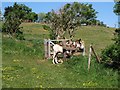 Donkey and kissing gate, Hellenge Hill