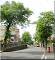 Tree-lined Stow Park Avenue, Newport