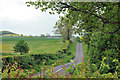 Minor road near Loanknowe