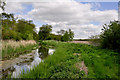 River Slea at Haverholme Lock