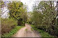 The Ridgeway at Watlington