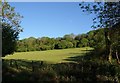 Field in Long Bottom