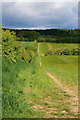 Marked path to Eildon Hills