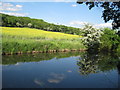 Prospect Hill from Chesterfield Canal