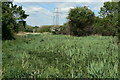 Fairham Brook Nature Reserve