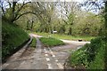 Looking down the Lane 