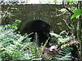 Bridge near Trewern, close-up